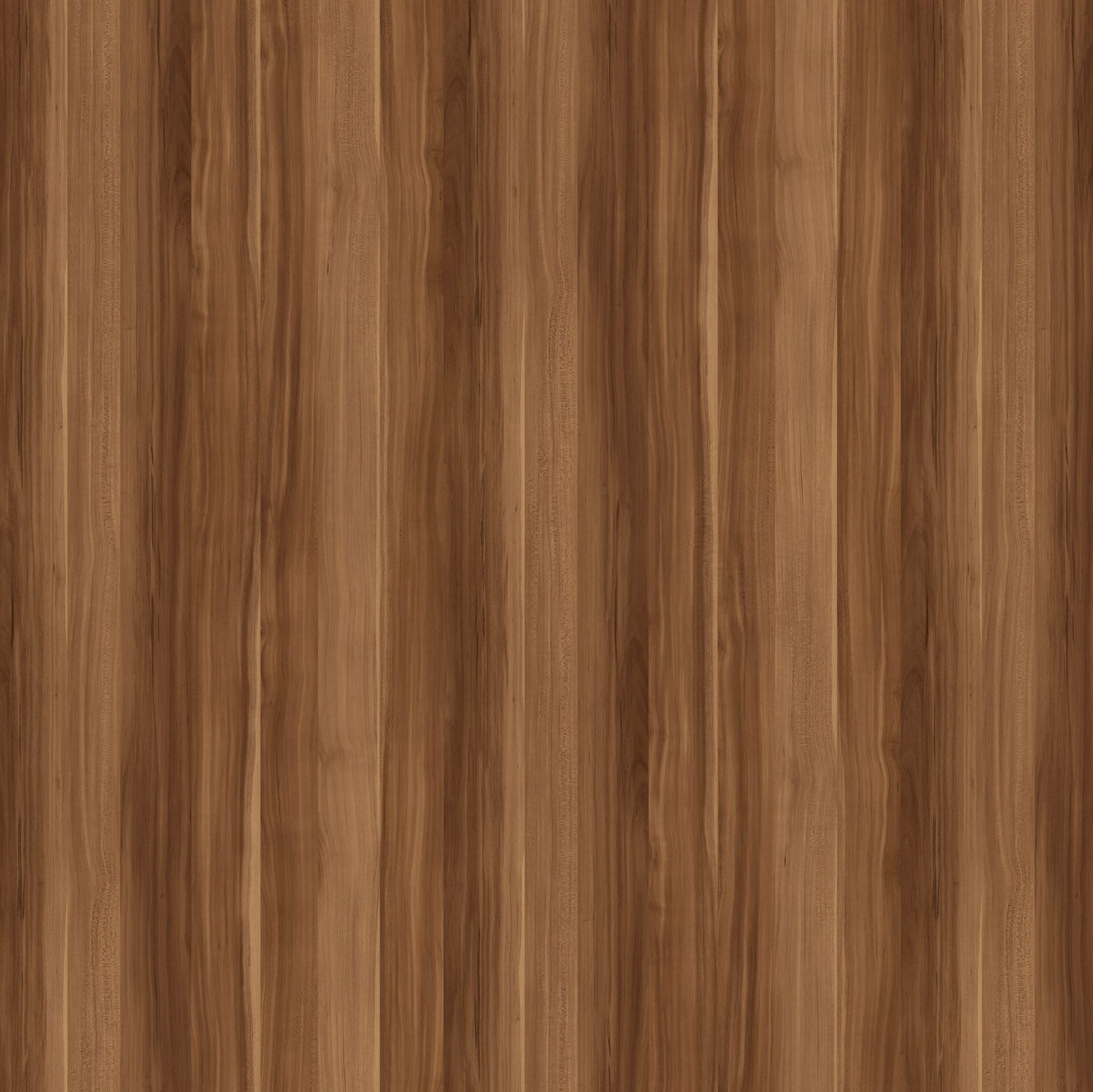 VT-275 AVANOS CEVİZ 18*3660*1830