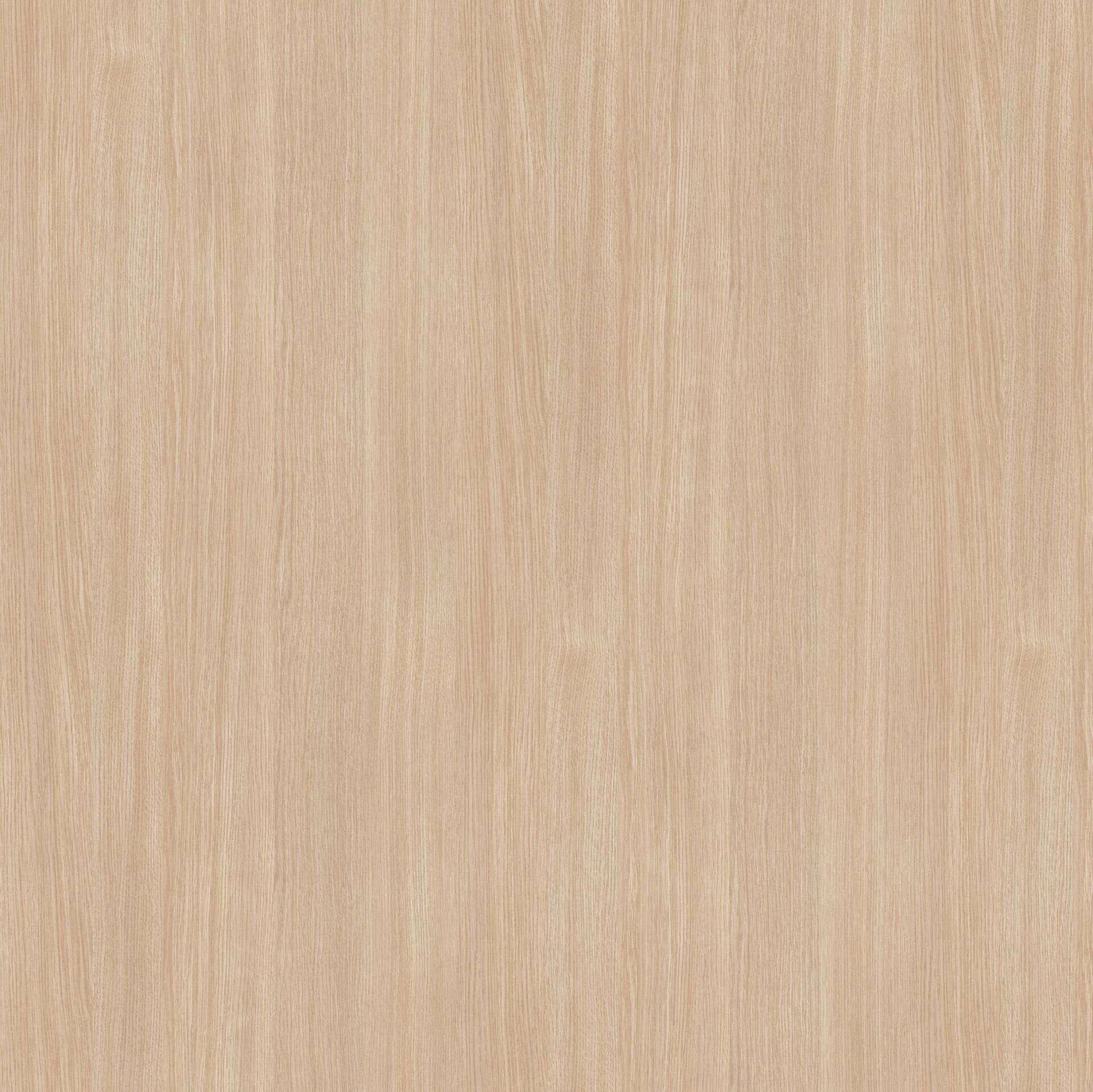 VT-925 BEYAZ MEŞE 18*2800*2100